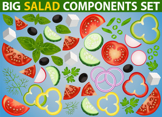 SALAD BIG COMPONENTS SET ISOLATED