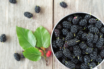 berries black mulberry