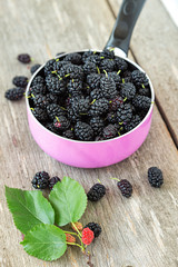 berries black mulberry