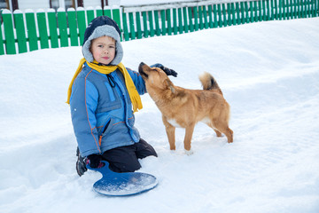 Boy playing with a red dog. To pet the dog on a winter day. © vitec40
