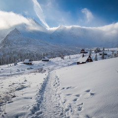 Snowy footpath to the Tatras mountains at winter, Poland