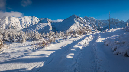 Fototapeta na wymiar Snowy mountain trail in the Tatra Mountains in Poland