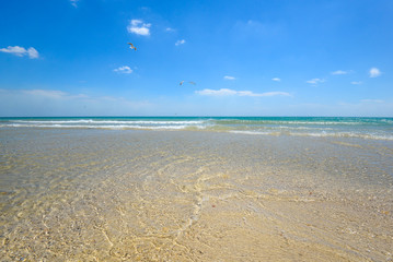 Sea sand sky and summer day. Beautiful tropical beach. Beautiful beach and tropical sea. Seacoast