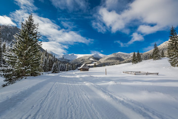 Fototapeta premium Snowy road in Chocholowska Valley in winter, Tatra Mountains