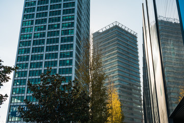 Obraz premium modern architectured skyscrapers with trees in the foreground