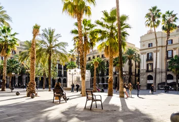Deurstickers Barcelona Park met palmbomen in Barcelona, Spanje