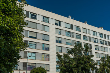 Fototapeta premium typical high contrasted office building with trees on the side