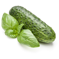 Cucumber vegetable and basil leaves isolated on white background