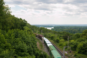 Train wagons pass through forest