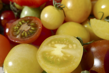 colored tomatoes