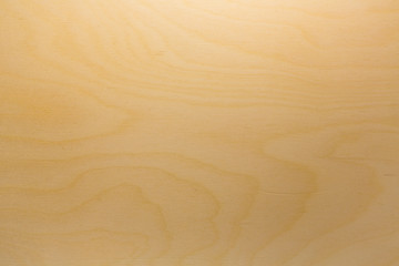 Background of wood texture
