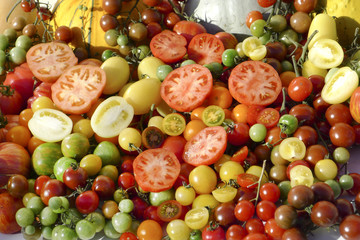 colored tomatoes