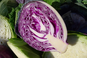 Obraz premium mixed Cabbage