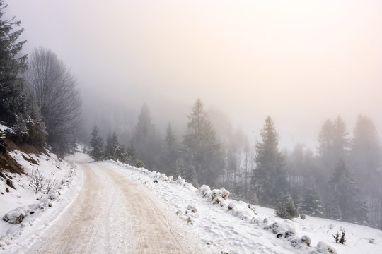 snowy road through foggy spruce forest
