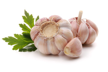 Garlic bulb and parsley herb still life isolated on white backgr