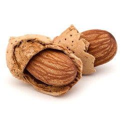 Almond nut in shell and shelled isolated on white background clo