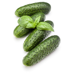 Cucumber vegetable and basil leaves isolated on white background