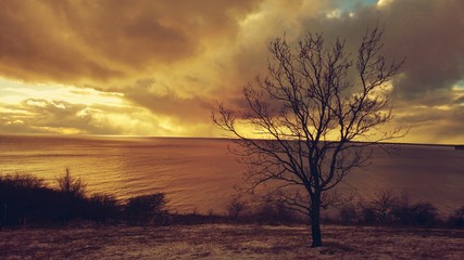 Fototapeta premium Coastline in twilight