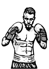 boxer vector illustration