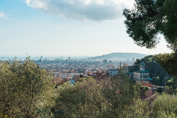 some trees are framing barcelona city in the background