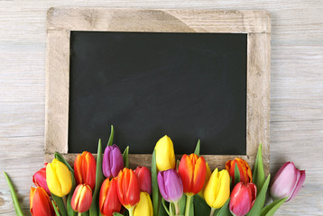 Tulpenmotiv