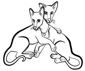 Vector illustration of oriental cats in love black and white
