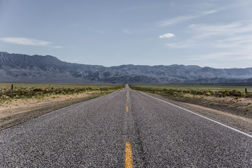 Untitled Landscape #10