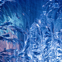 Frosty tracery on the pane
