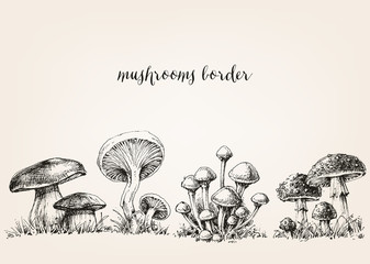 Cute mushrooms border, hand drawn collection