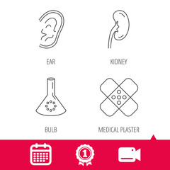 Achievement and video cam signs. Lab bulb, medical plaster and ear icons. Kidney linear sign. Calendar icon. Vector