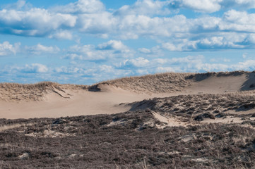 Untitled Landscape #34