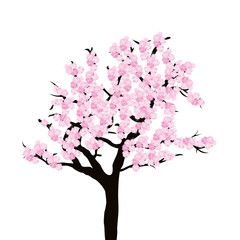 Cherry tree