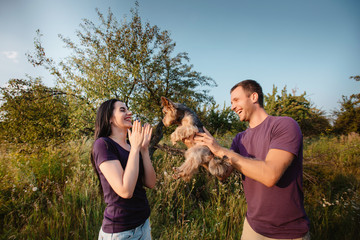 Obraz premium Young happy couple on nature,the boy gives girl a dog - yorkshire terrier as gift ,love,lifestyle,relationship,valentine