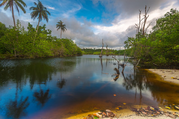 Obraz premium the beach 