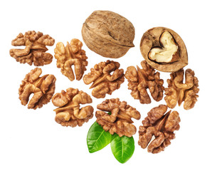 Walnut and walnut kernel isolated on the white background.