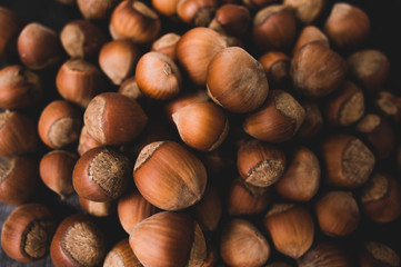 Heap of hazelnuts