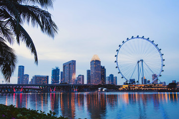 Fototapeta na wymiar Singapore skyline by night, beautiful cityscape with ferris wheel and reflection in the water