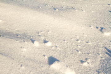 Snow in close up