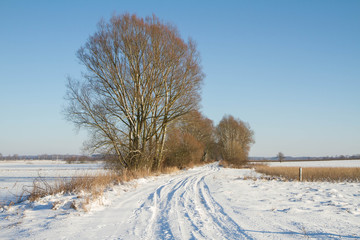 WInter landscape - road among fields covered with snow