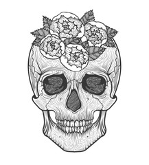 Human skull tribal style.Tattoo blackwork. Vector hand drawn illustration. Boho 