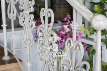 flowers in pots