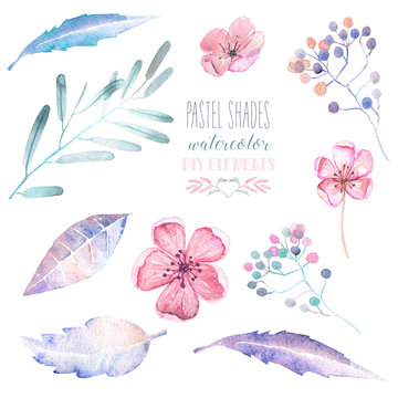 Fototapeta Set with isolated watercolor floral elements: tender flowers and leaves in pastel shades, hand drawn on a white background, for self-compilation of the bouquets and ornaments