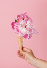 peony in the waffle cone