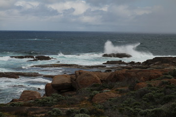 cap leeuwin