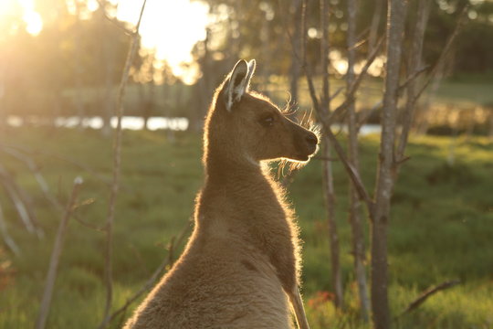 perth