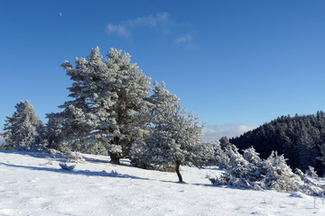 Winterliche Landschaft auf der schwäbischen Alb, Deutschland