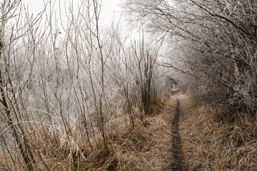 Straßen, Pfade und Wege im Winter: Natur genießen