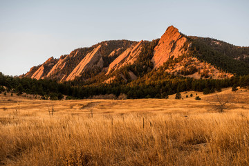 Flatiron Morning