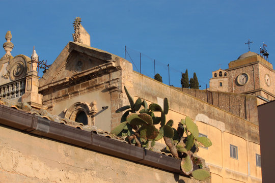 fichi d'india sopra tetti casa