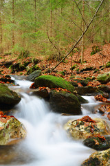 Fototapeta na wymiar Autumn creek in Bohemian forest in the Czech Republic, Europe